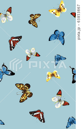 蝶 ブルー きれいのイラスト素材