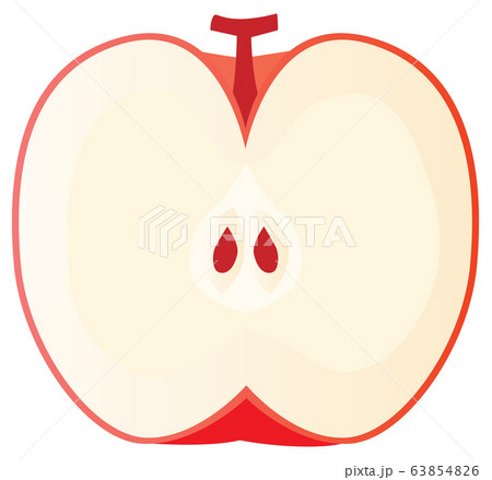 赤いリンゴの断面のイラストのイラスト素材