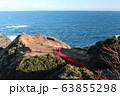 元乃隅稲成神社　山口 63855298