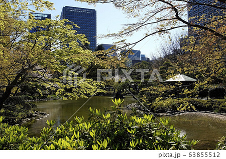 日比谷公園雲形池 63855512