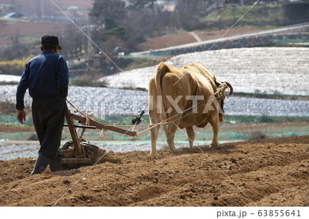 牛 畑 プラウ 63855641