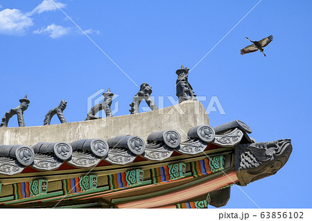コウノトリ 鳥 瓦屋根 63856102