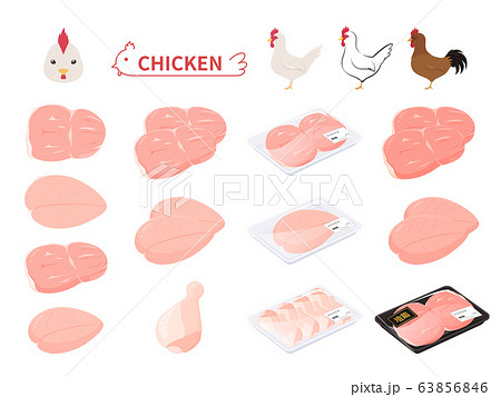 鶏肉と鶏のイラストセットのイラスト素材