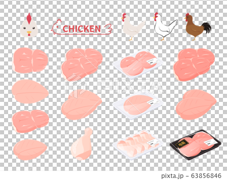 雞肉和雞肉插圖集 雞肉和雞肉插圖集 63856846