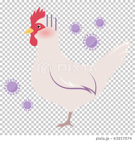 Illustration of a chicken affected by bird flu Illustration of a chicken affected by bird flu 63857074
