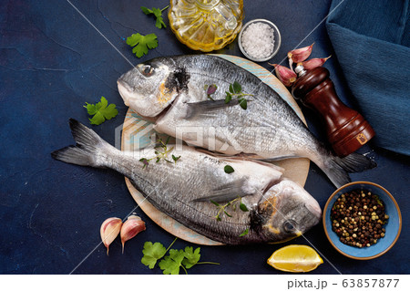 Close up of fresh dorado fishes on dark blue Close up of fresh dorado fishes on dark blue 63857877