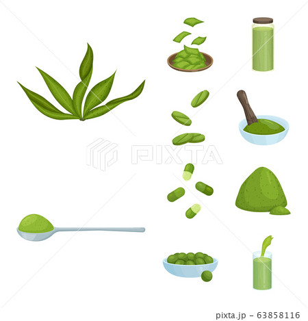 Vector illustration of spirulina and seaweed icon. Collection of spirulina and vegan stock symbol for web. 63858116