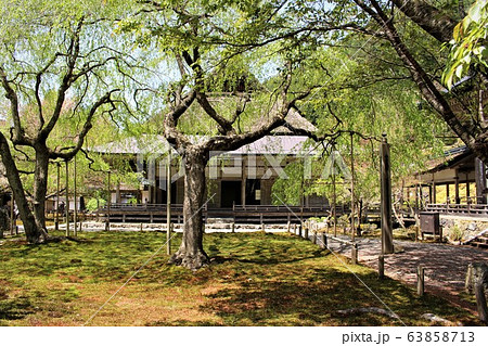 常照皇寺 常照皇寺 63858713