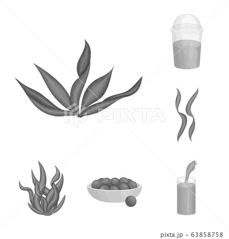 Vector design of plant and weed symbol. Set of plant and sea stock symbol for web. Vector design of plant and weed symbol. Set of plant and sea stock symbol for web. 63858758