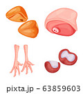 Vector design of meat and raw icon. Set of meat and grilled stock vector illustration. 63859603