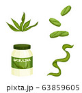 Vector illustration of spirulina and seaweed symbol. Collection of spirulina and vegan vector icon for stock. 63859605