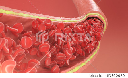Cross section artery view. Red blood cells inside an artery, vein. Healthy blood flow. Scientific and medical concept. Transfer of important elements in the blood to protect the body. 3d illustration 63860020