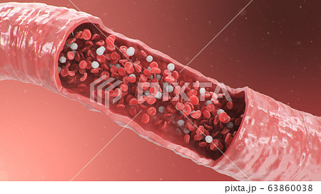 3d illustration of red blood cells inside an artery, vein. Healthy arterial cross-section blood flow. Scientific and medical microbiological concept. Enrichment with oxygen and important nutrients. 63860038