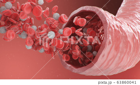 3d illustration of red blood cells inside an artery, vein. Healthy arterial cross-section blood flow. Scientific and medical microbiological concept. Enrichment with oxygen and important nutrients. 63860041