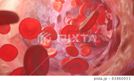 3d illustration of red blood cells inside an artery, vein. The flow of blood inside a living organism. Scientific and medical microbiological concept. Enrichment with oxygen and important nutrients. 63860053