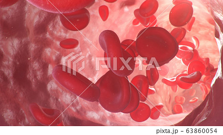 3d illustration of red blood cells inside an artery, vein. The flow of blood inside a living organism. Scientific and medical microbiological concept. Enrichment with oxygen and important nutrients. 3d illustration of red blood cells inside an artery, vein. The flow of blood inside a living organism. Scientific and medical microbiological concept. Enrichment with oxygen and important nutrients. 63860054