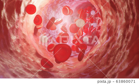 Red blood cells inside an artery, vein. Flow of blood inside a living organism. Scientific and medical concept. Transfer of important elements in the blood to protect the body. 3d illustration 63860071