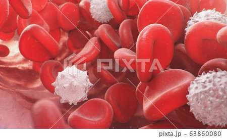 Red blood cells inside an artery, vein. Flow of blood inside a living organism. Scientific and medical concept. Transfer of important elements in the blood to protect the body. 3d illustration 63860080
