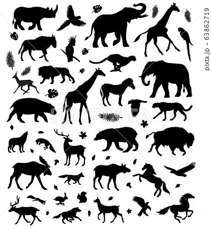 Vector black set bundle of wild animals silhouette Vector black set bundle of wild animals silhouette 63862719