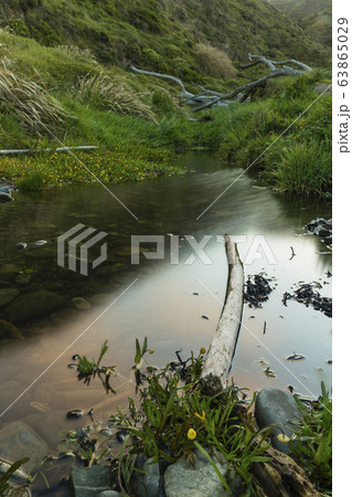 ニュージーランド ウェリントン マカラビーチ ニュージーランド ウェリントン マカラビーチ 63865029