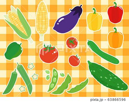 夏野菜6 野菜 ベジタブルのイラスト素材