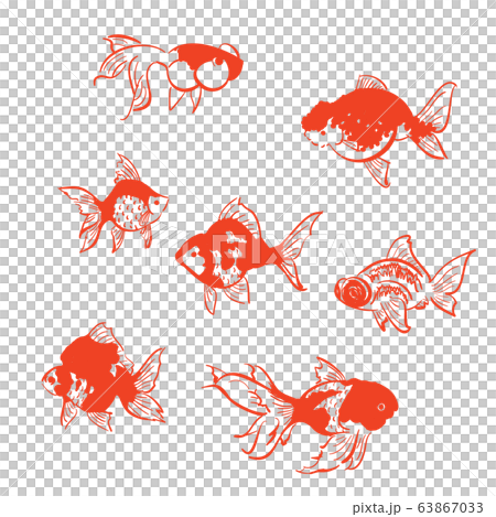 豪華な金魚 素材7種 ベクター 豪華な金魚 素材7種 ベクター 63867033