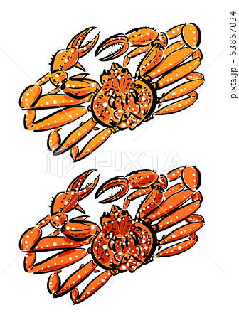 茹でる前(上)と後(下)のズワイガニのベクターイラスト 茹でる前(上)と後(下)のズワイガニのベクターイラスト 63867034