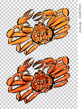 Zwai蟹煮沸之前（頂部）和之後（底部）的矢量圖 63867034