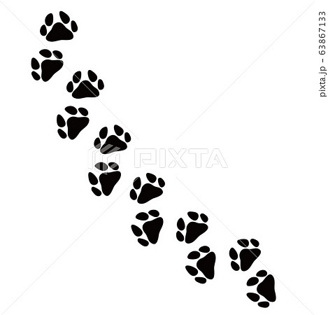 動物 犬猫 足跡 複数のイラスト素材