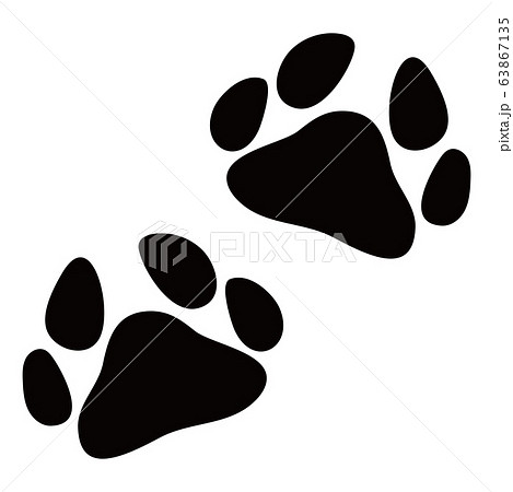 動物 犬猫 足跡 両足のイラスト素材