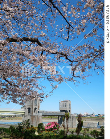 多摩川・登戸付近風景 63867356