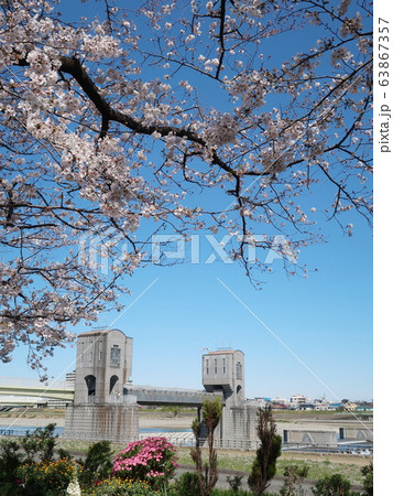 多摩川・登戸付近風景 63867357