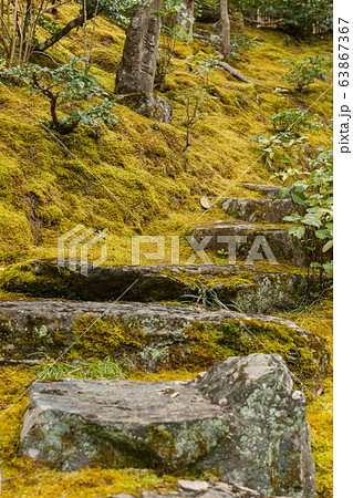 阿波の古刹、本楽寺の池泉式回遊庭園 63867367