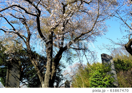 乃木希典書・忠魂碑(神奈川県伊勢原市) 乃木希典書・忠魂碑(神奈川県伊勢原市) 63867470