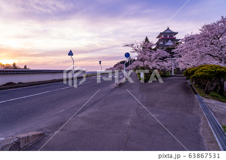 宮城県遠田郡 涌谷町 春の城山公園 満開の桜の写真素材