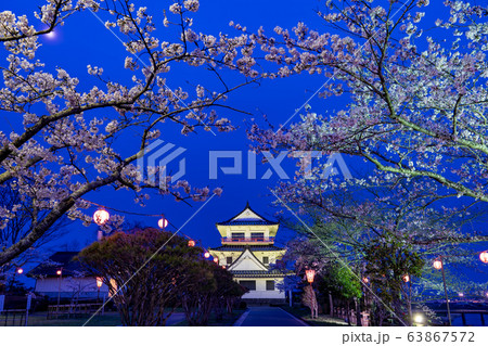 宮城県遠田郡 涌谷町 春の城山公園 満開の桜とライトアップ 宮城県遠田郡 涌谷町 春の城山公園 満開の桜とライトアップ 63867572