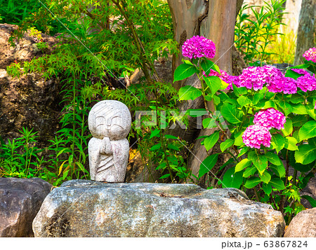 正俊寺の紫陽花と地蔵 63867824