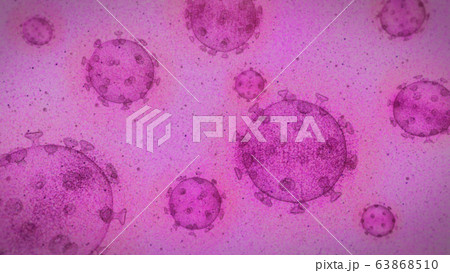 virtus B Purple 63868510