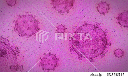 virtus A Purple 63868515