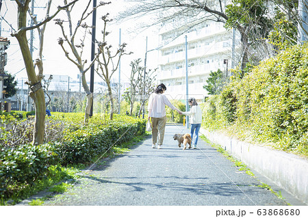 親子 犬 ペット 愛犬 散歩 親子 犬 ペット 愛犬 散歩 63868680
