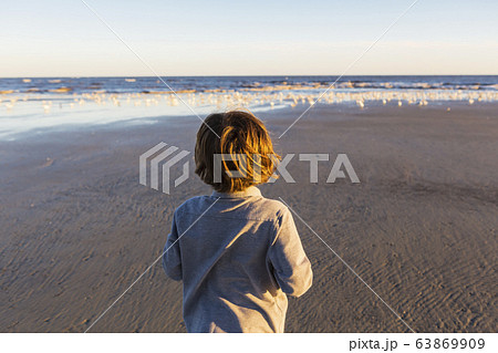 A boy walking on a beach, flock of seagulls on the sand. 63869909