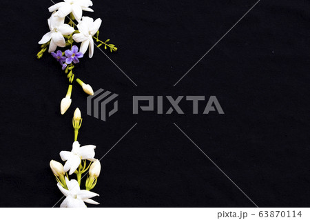 white flowers jasmine local flora of asia in spring season arrangement flat lay postcard style white flowers jasmine local flora of asia in spring season arrangement flat lay postcard style 63870114