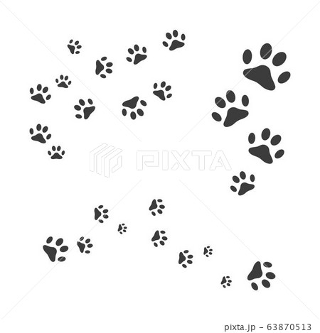 Paw Logo design vector illustration 63870513