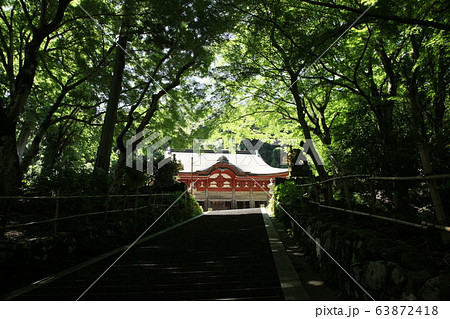 鰐淵寺 お寺 弁慶 弁慶の修行寺 島根県平田市 平田市 鰐淵寺 お寺 弁慶 弁慶の修行寺 島根県平田市 平田市 63872418