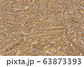 Beige autumn grass texture illustration 63873393