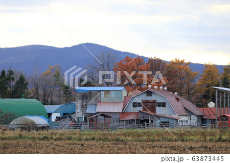 北海道 オホーツク地方 牧場のある風景 北海道 オホーツク地方 牧場のある風景 63873445
