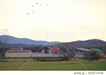 北海道 オホーツク地方 牧場のある風景 北海道 オホーツク地方 牧場のある風景 63873446