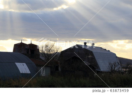 北海道 オホーツク地方 夕暮れ時のサイロと牛舎 北海道 オホーツク地方 夕暮れ時のサイロと牛舎 63873459
