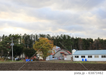 北海道　オホーツク地方　牧場のある風景 63873462