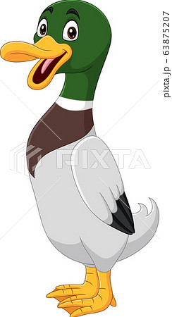 Cute duck cartoon on white background 63875207